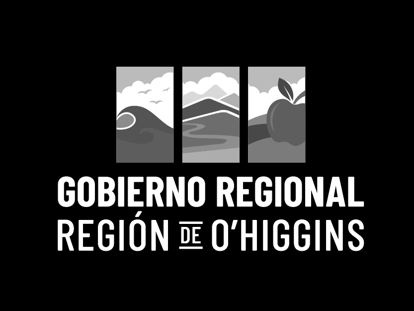 logo gobierno regional_Mesa de trabajo 1
